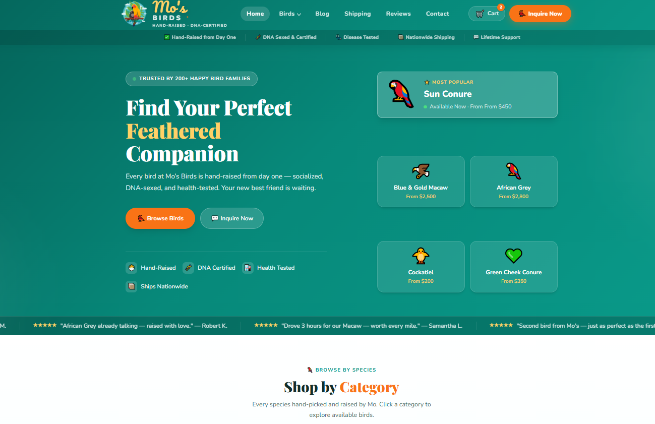 Mosbirds WordPress Custom Theme