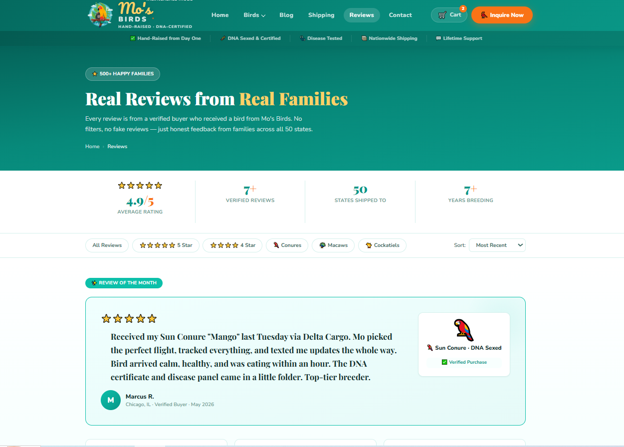 Mosbirds WordPress Custom Theme