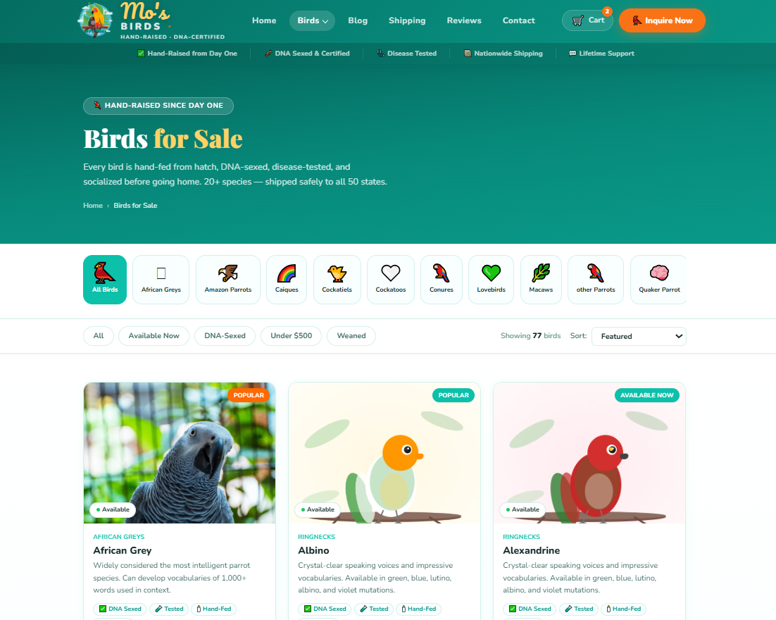 Mosbirds WordPress Custom Theme